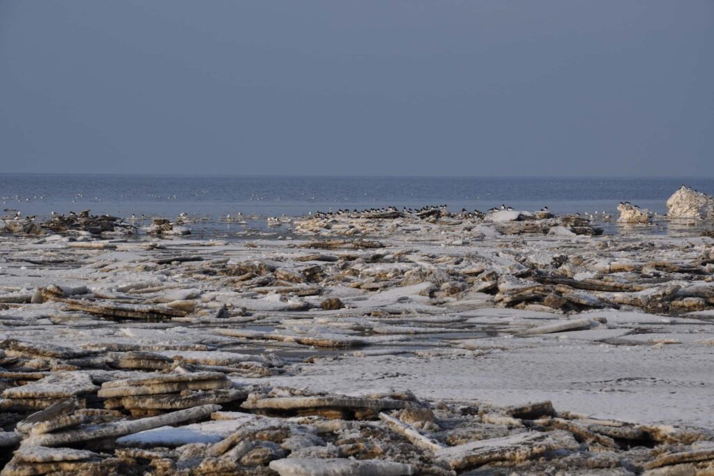 Eisschollen auf der Nordseeküste