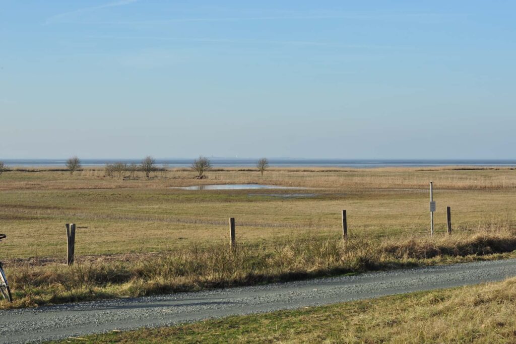 Radstrecke durch die Küstenheide in Cuxhaven